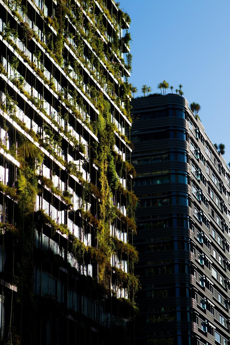 Sustainable Forest